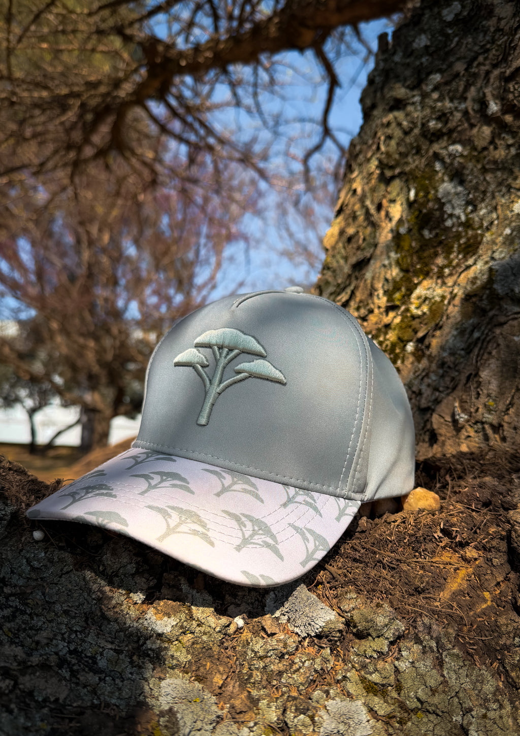 SOL Founder's Cap