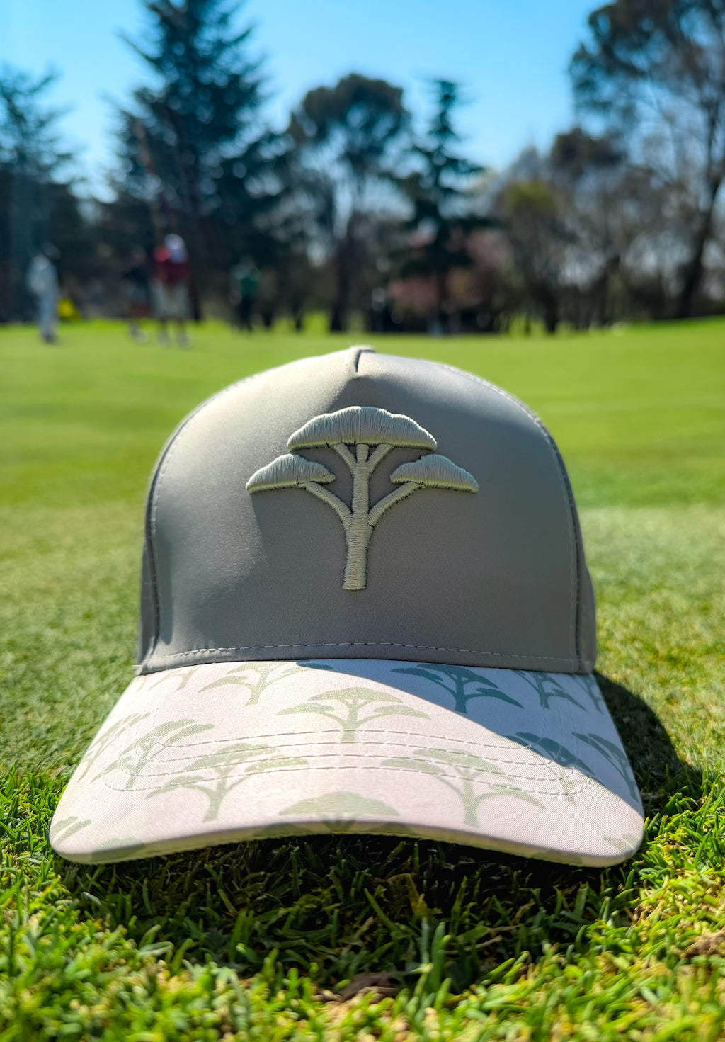 SOL Founder's Cap